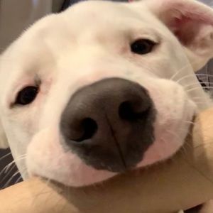 Meet your Posher, Luke